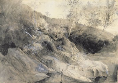 Das felsige Ufer eines Flusses - Verso: Skizze von Laub, ca. 1853 (Aquarell mit Feder und Tinte über Graphit auf Papier) von John Ruskin